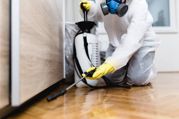 Best Pest Prevention Services  in Milford, DE