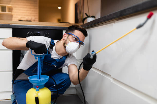 Best Best Pest Control Near Me  in Milford, DE