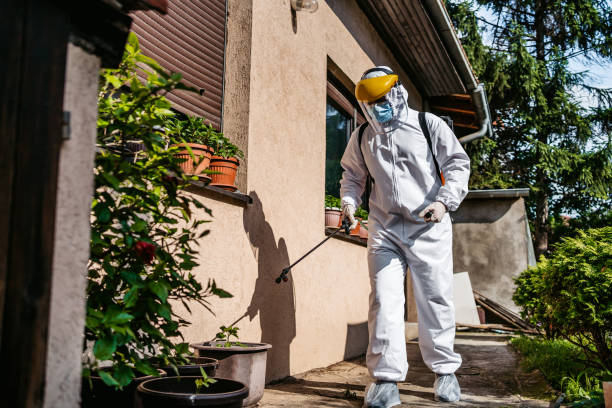 Best Spider Control Near Me  in Milford, DE