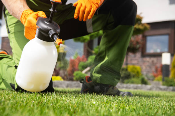 Best Pest Control Near Me in Milford, DE