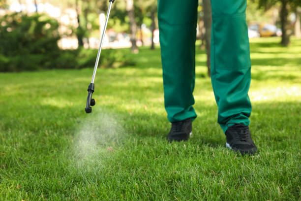 Trusted Milford, DE Pest Control Experts