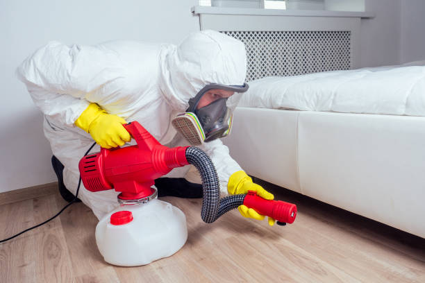 Best Termite Control Services  in Milford, DE