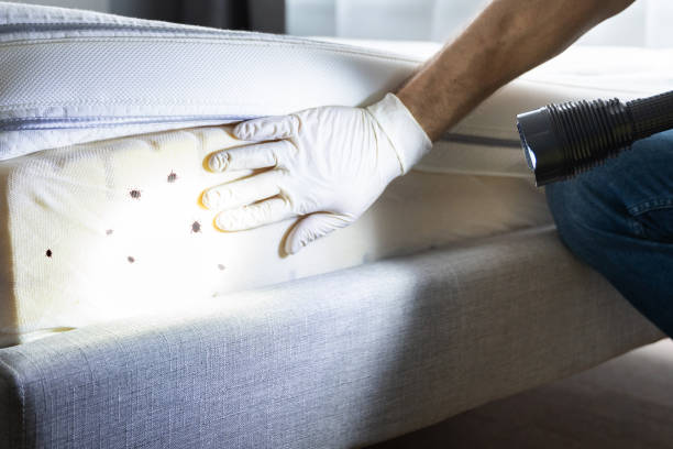 Best Pest Inspection Near Me  in Milford, DE