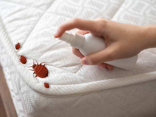 Best Wasp Removal Services  in Milford, DE