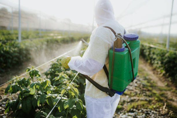 Best Exterminator Services  in Milford, DE